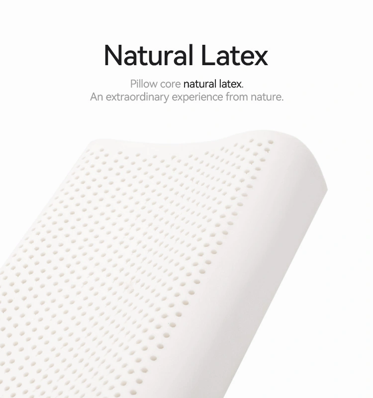 Anti Snoring Latex Ergonomic Pillow